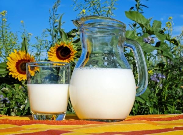 Объем производства сырого молока в РФ в 2022 году превысил 32,6 млн т — Патрушев