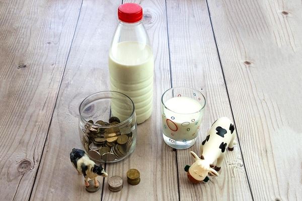 Удмуртские сельхозорганизации на 5,5% увеличили суточное производство молока