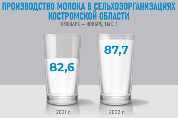 Производство молока в Костромской области выросло на 6,2%