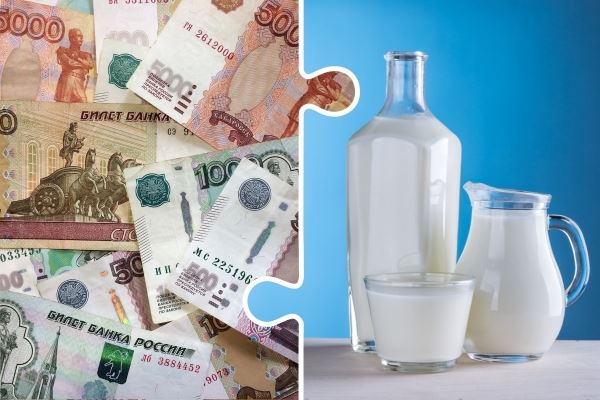 Хозяйства Ленинградской области в 2022 году выпустили 680,4 тыс. т молока