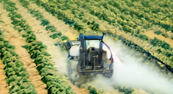 Немецкому картофелеводу присудили крупный штраф за загрязнение соседской рукколы пестицидами