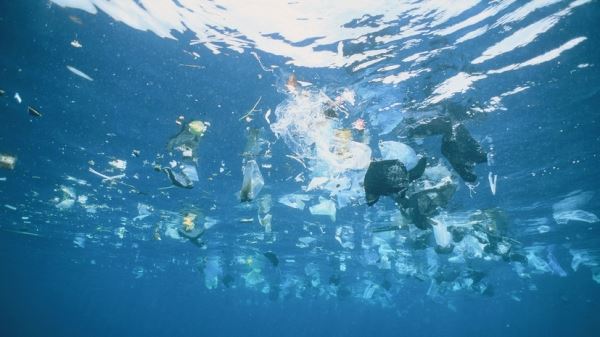 Абрамченко: при нынешнем потреблении в океане к 2050 году будет больше пластика, чем рыбы