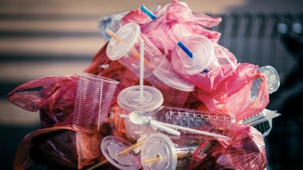 Эколог Пешков рассказал о вреде пластика для экосистемы