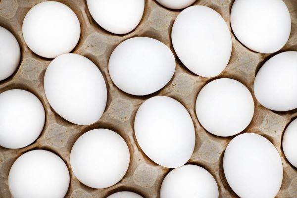 Мордовия — лидер в производстве яиц в ПФО