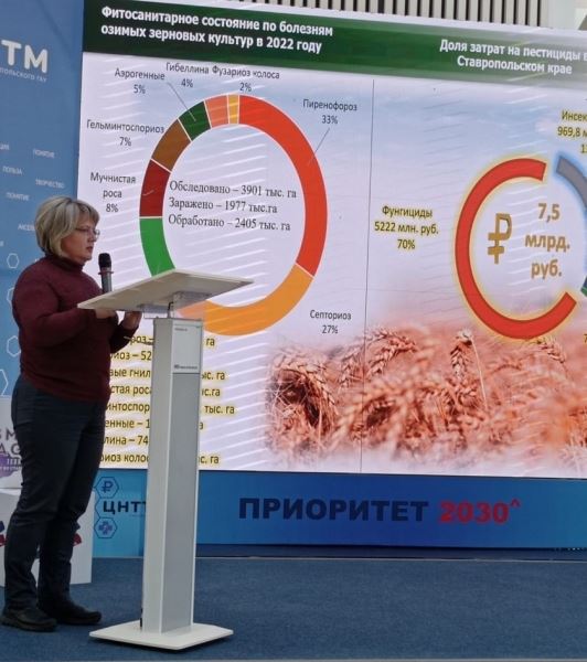 Биологизированные технологии импортозамещения в растениеводстве Ставрополья
