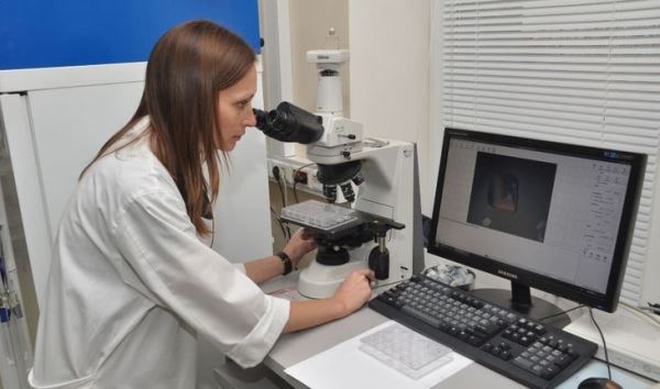 Заочная Курчатовская школа привлечет молодые таланты в область генетики и биотехнологий