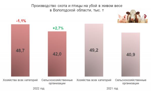 В 2022 году в Вологодской области увеличилось производство молока, свиней и птицы на убой