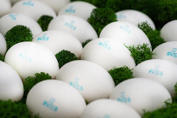 В Удмуртии в 2022 году выпустили более 1 млрд яиц