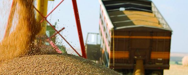 Власти Херсонской области запретили вывоз зерна из региона без разрешения Минсельхоза до 1 июля