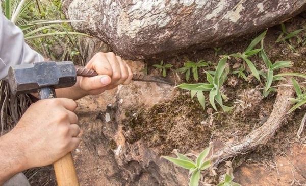 В бразильских каменистых лугах ученые собирают образцы для будущей индустрии микробных удобрений