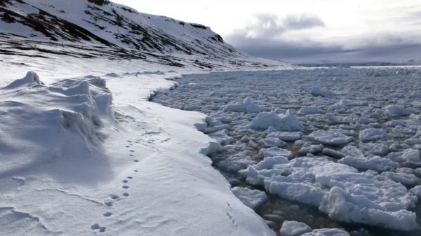 Этнограф Головнёв назвал таяние ледников Арктики естественным процессом