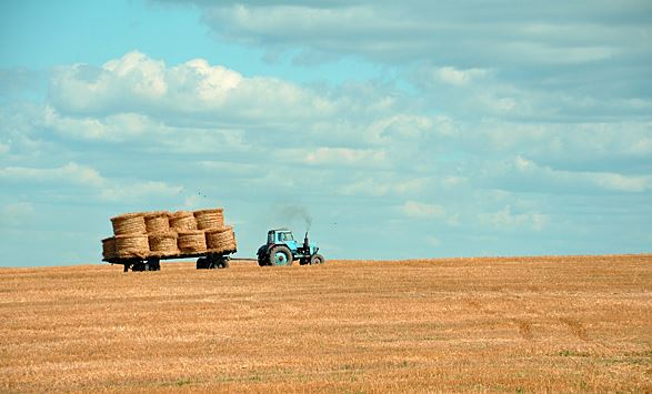 Импортная сельхозтехника в России прослужит еще не более семи лет