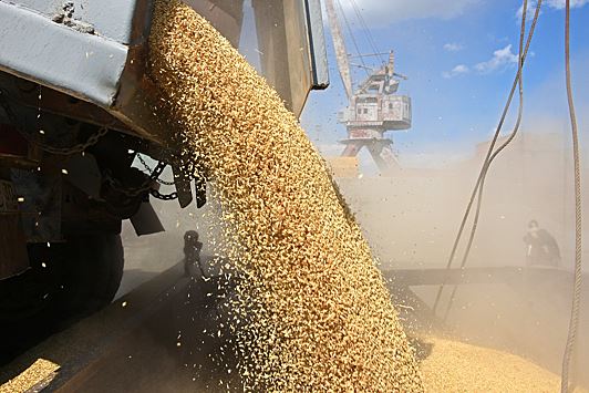 Минсельхоз РФ прогнозирует экспорт зерна в 30-35 млн тонн во втором полугодии сельхозгода